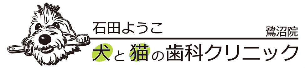 石田ようこ 犬と猫の歯科クリニック
