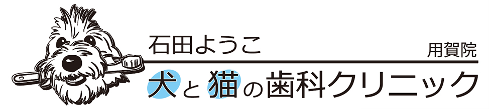 石田ようこ 犬と猫の歯科クリニック