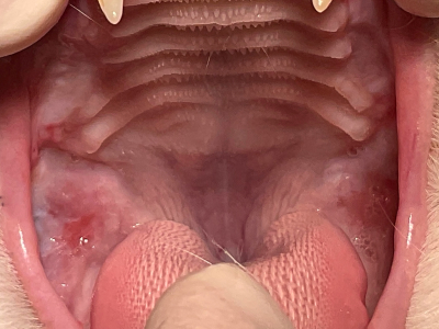 喉の奥もスッキリしました。