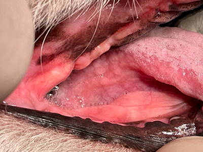 赤みはすっかりなくなり、快適です。